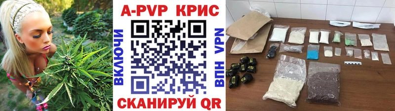 купить наркотики цена  Черногорск  A PVP СК КРИС 