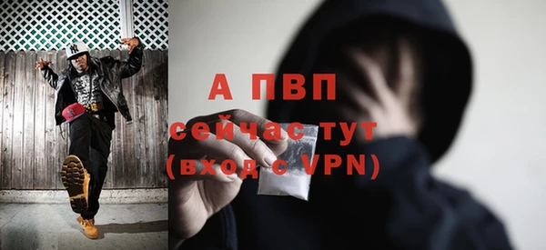 хмурый Нея