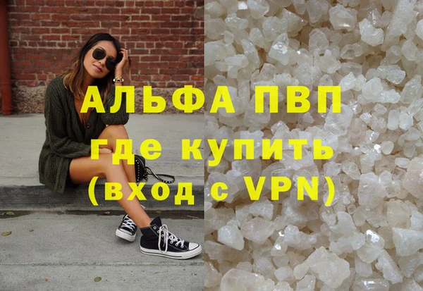 спиды Надым
