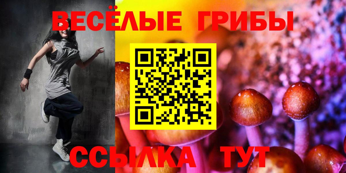 Галлюциногенные грибы Psilocybe Черногорск
