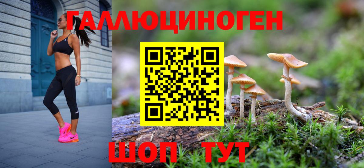 Псилоцибиновые грибы Psilocybine cubensis  Черногорск 